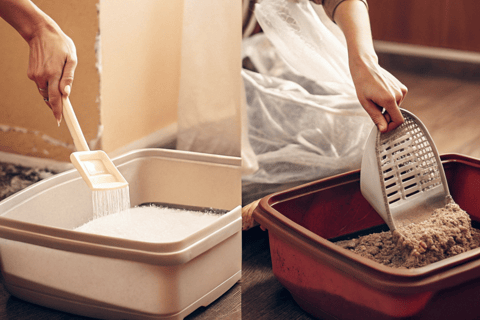 A person pouring used litter into a trash bag and cleaning the box with a sponge.