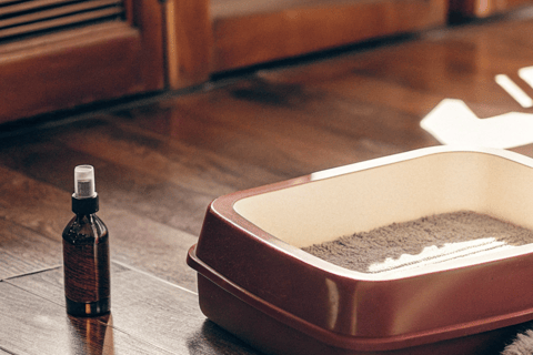 A litter deodorizer bottle placed beside a freshly cleaned litter box.