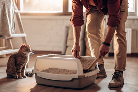 A person removing the waste tray from a smart litter box for cleaning