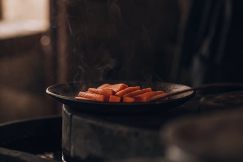  Steamed carrot slices prepared as a healthy snack for a cat.