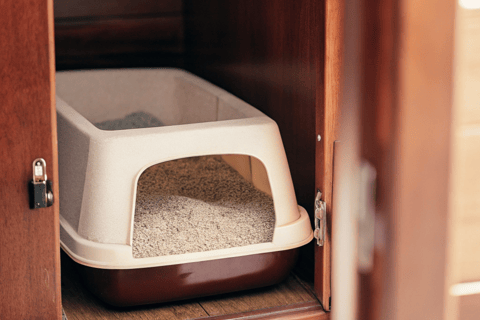 A tidy litter box in a well-ventilated, private space.