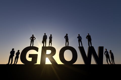 Organizational Development - Grow image