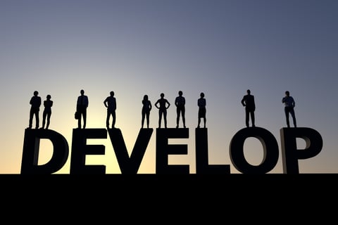 Organizational Development - Develop image