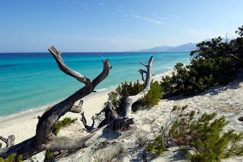 desert des agriates la corse