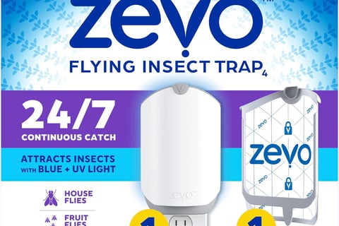 Fly Trap