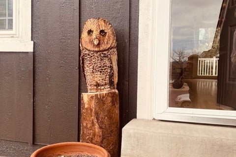 chainsaw carving of a Barred Owl made from an aspen log, handmade in Pagosa Springs, Colorado