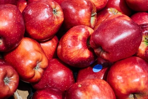 Maçã Red Delicious