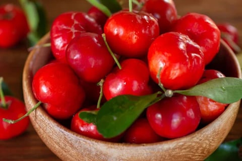 acerola vermelha