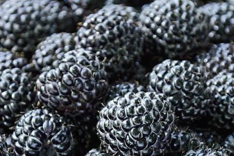 Framboesa Preta