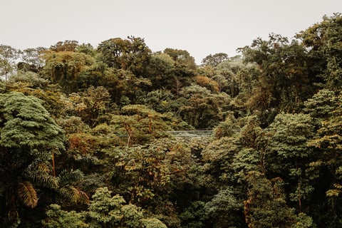 hanging bridges in costa rica