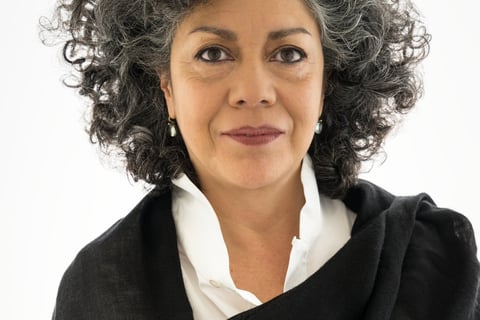 artista-doris-salcedo