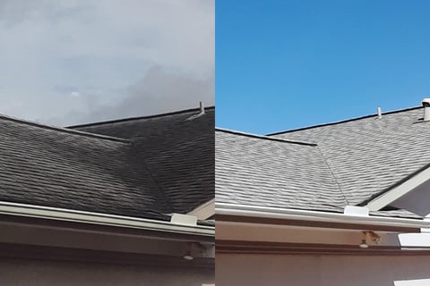 Roof Soft washing