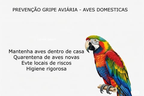 gripe aviaria psitacideo