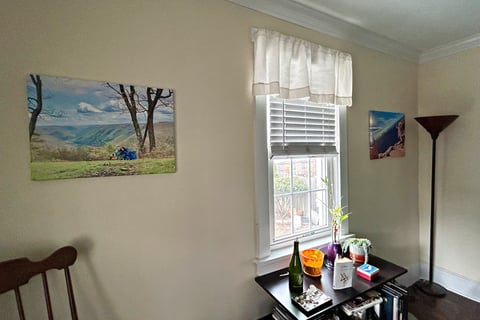 living room with wall art of mountain top and grand canyon