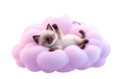 Metexa Orientals & Siamese kittens - pure bliss