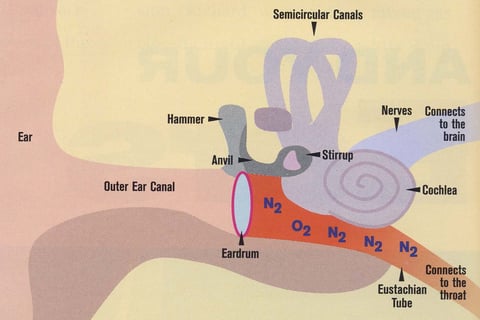 Gas in the middle ear prior to diving