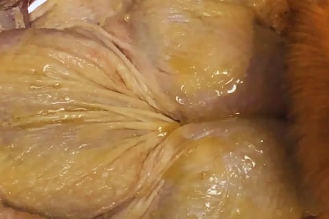 Whole raw spatchcocked chicken rubbed with butter before seasoning