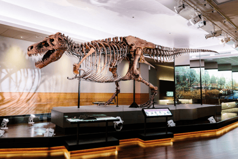 Field Museum Chicago