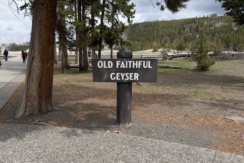 Old Faithful