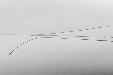 Lines of people walking and listening as a line