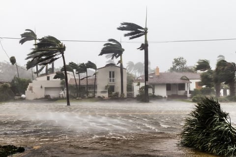 strong wind