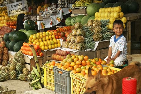 Fruits from Ecuador witha kid smiling to the camera