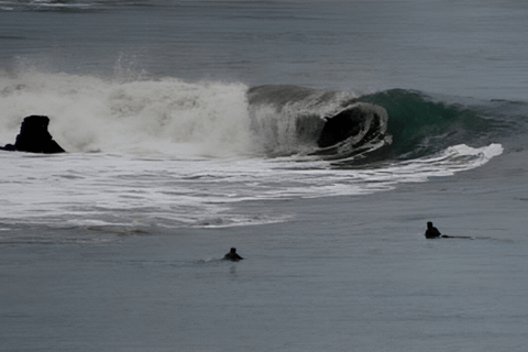 two surfers in the water staring at a perfect left