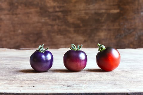 three tomatoes are shown in three different stages of ripeness