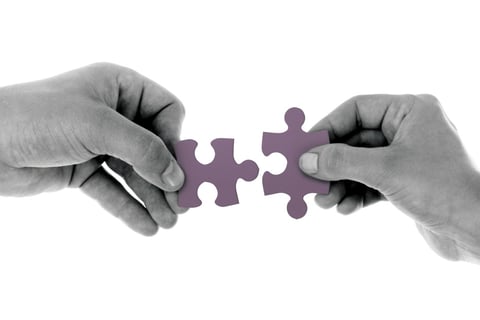 continuous adaptation psychology