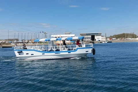 The tourist ferry or 'bateau bus.'