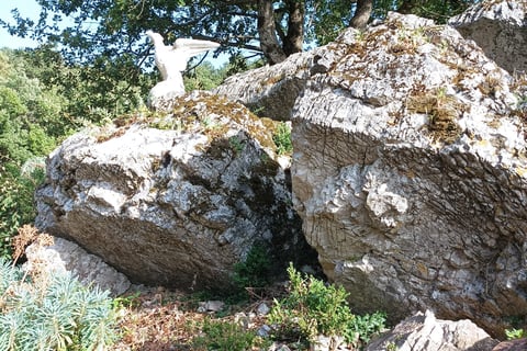 Some garden rocks.