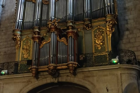 The magnificent Cathedral organ