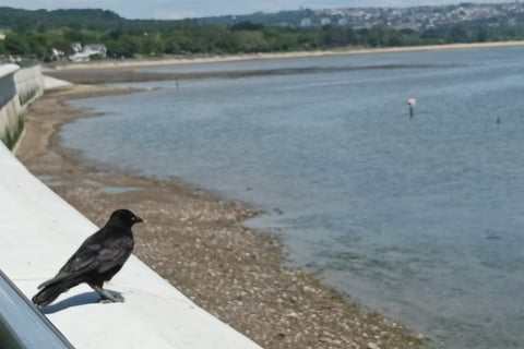 Looking towards the city of Swansea