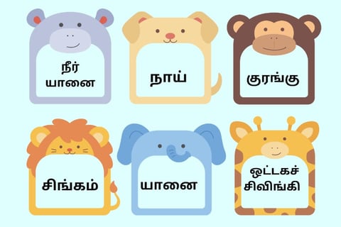 tamil dictation words for Tamil handwriting practice and tamil sentence