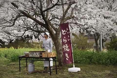 Le ricette della signora Toku | © Cookingwiththehamster