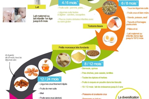 a poster with a circular diagram of a food cycle
