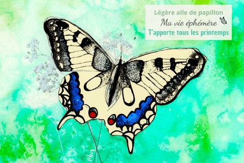 a butterfly butterfly on a green background