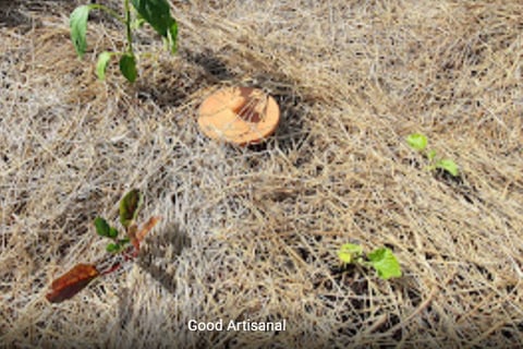 Jardin potager en butte (permaculture)