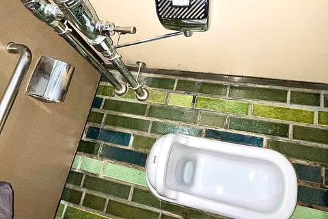 a traditional Japanese toilet require you to squat