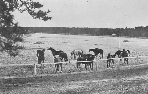 "Goryo Farm" in 1930, where Narita airport was built