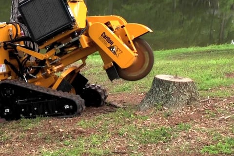stump removal 
