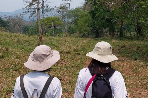 two people standing in a field with a giraffe
