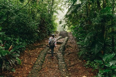 a man walking up a path in the jungle