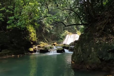 a waterfall in the middle of a forest