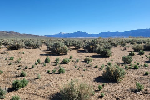 20 acres of land recently sold for $95,000 by Walker River Basin Realty.
