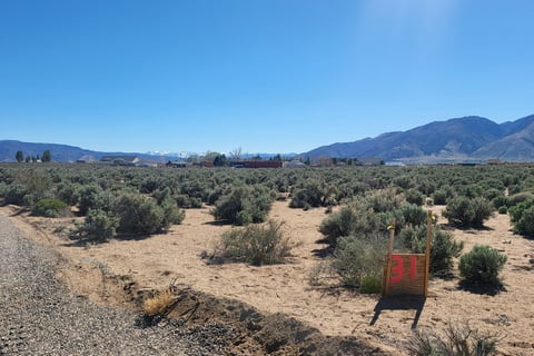 5 acres of land recently sold for $85,000 by Walker River Basin Realty.