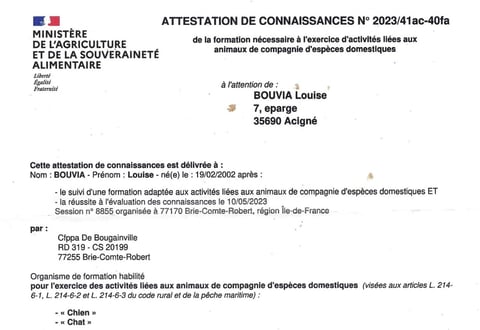 Attestation de connaissances des animaux de compagnie et d'espèces domestiques