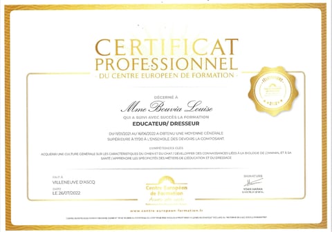 Certificat professionnel éducateur dresseur