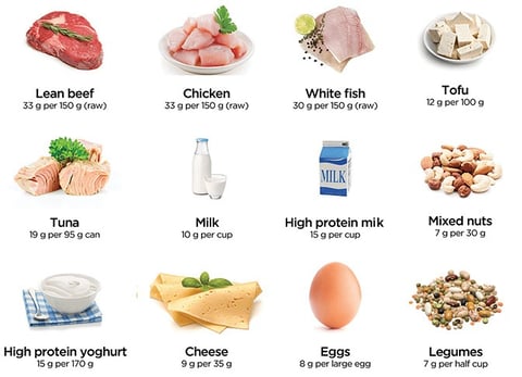 high-protein-foods