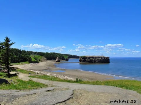 Pokeshaw Rock, Ile aux oiseaux, Nouveau-Brunswick